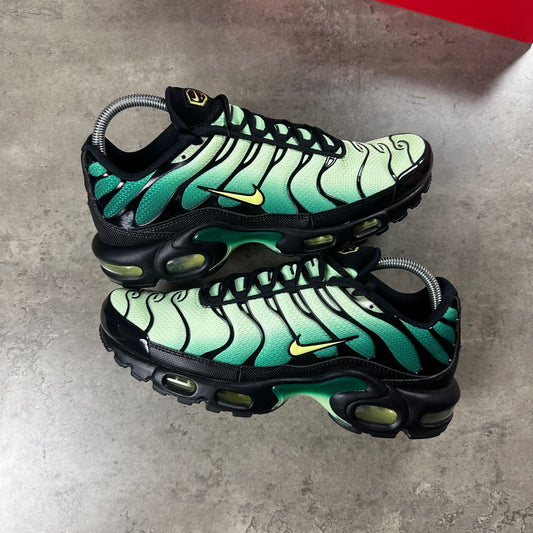 Nike Air Max TN's 'Emerald Green'